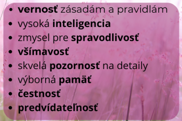 Aspregerov syndróm prináša aj mnohé silné stránky